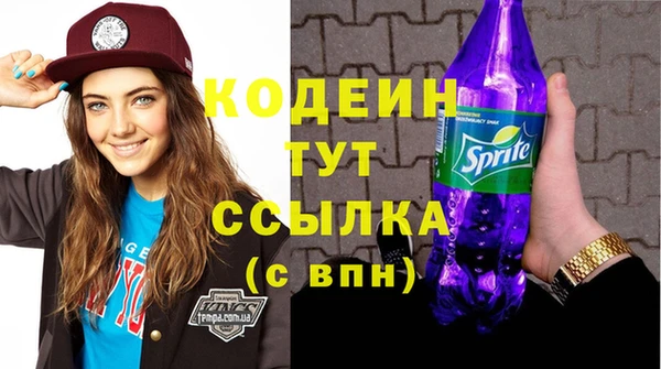 дмт Протвино