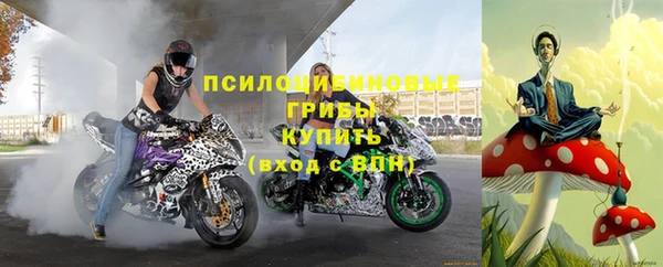 каннабис Абаза