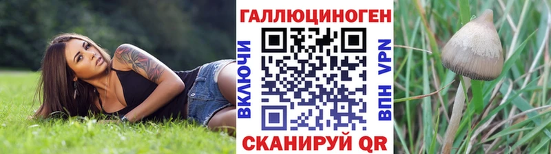 купить наркоту  Нефтегорск  Галлюциногенные грибы GOLDEN TEACHER 